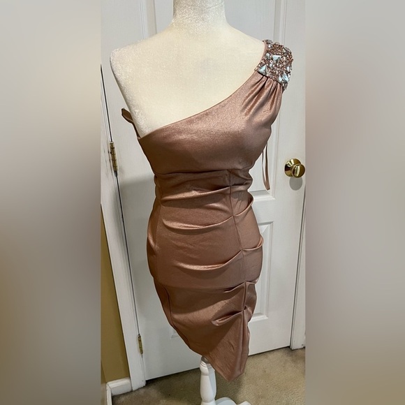 Cache blush pink champagne beaded one shoulder ruched mini dress size 2 - Picture 3 of 6